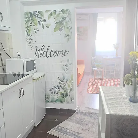 Downtown Universitate Apartament