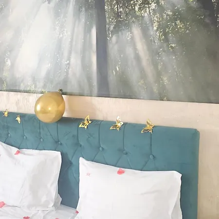 Apartment Downtown Universitate *